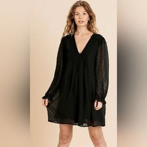 Zara Sheer Polka Dot Fabric Long Ruffle Sleeve V-neck black Dress size XS